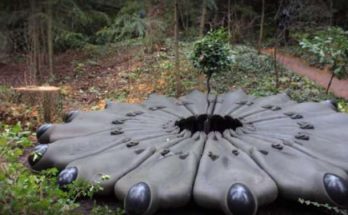 Scoperte scientifiche - Scultura aliena o rituale alieno?