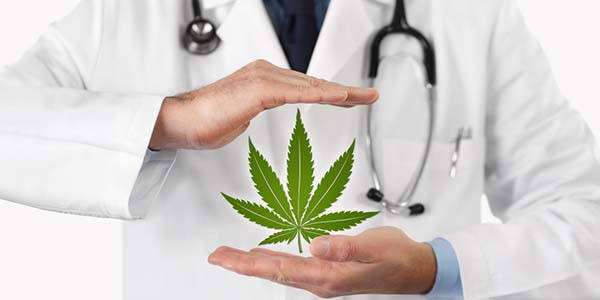 Cannabis terapeutica: Le leggi sul consumo della Cannabis medica