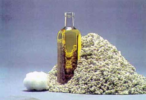 Olio di semi di cotone riduce il colesterolo