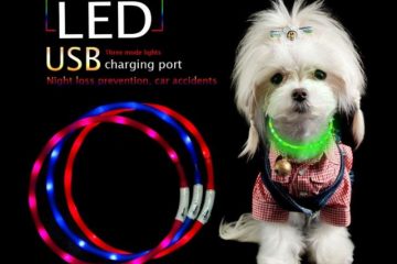 Collare per cani lampeggiante a LED ricaricabile via USB