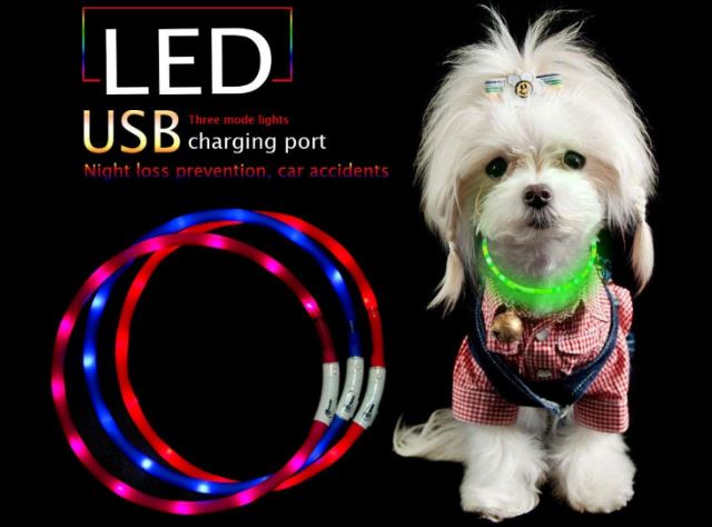 Collare per cani lampeggiante a LED ricaricabile via USB