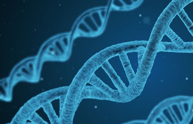 Scienze biologiche – Il DNA