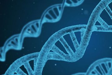 Scienze biologiche – Il DNA