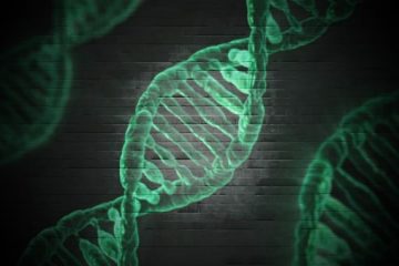 Studi sulla biologia - Il DNA